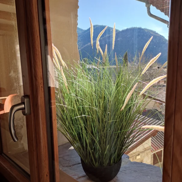 Vue depuis le logement