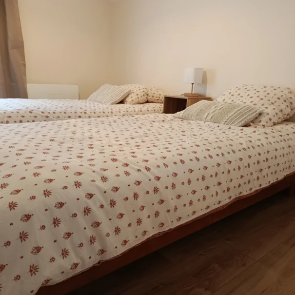 Chambre du bas avec 2 lits simplesi